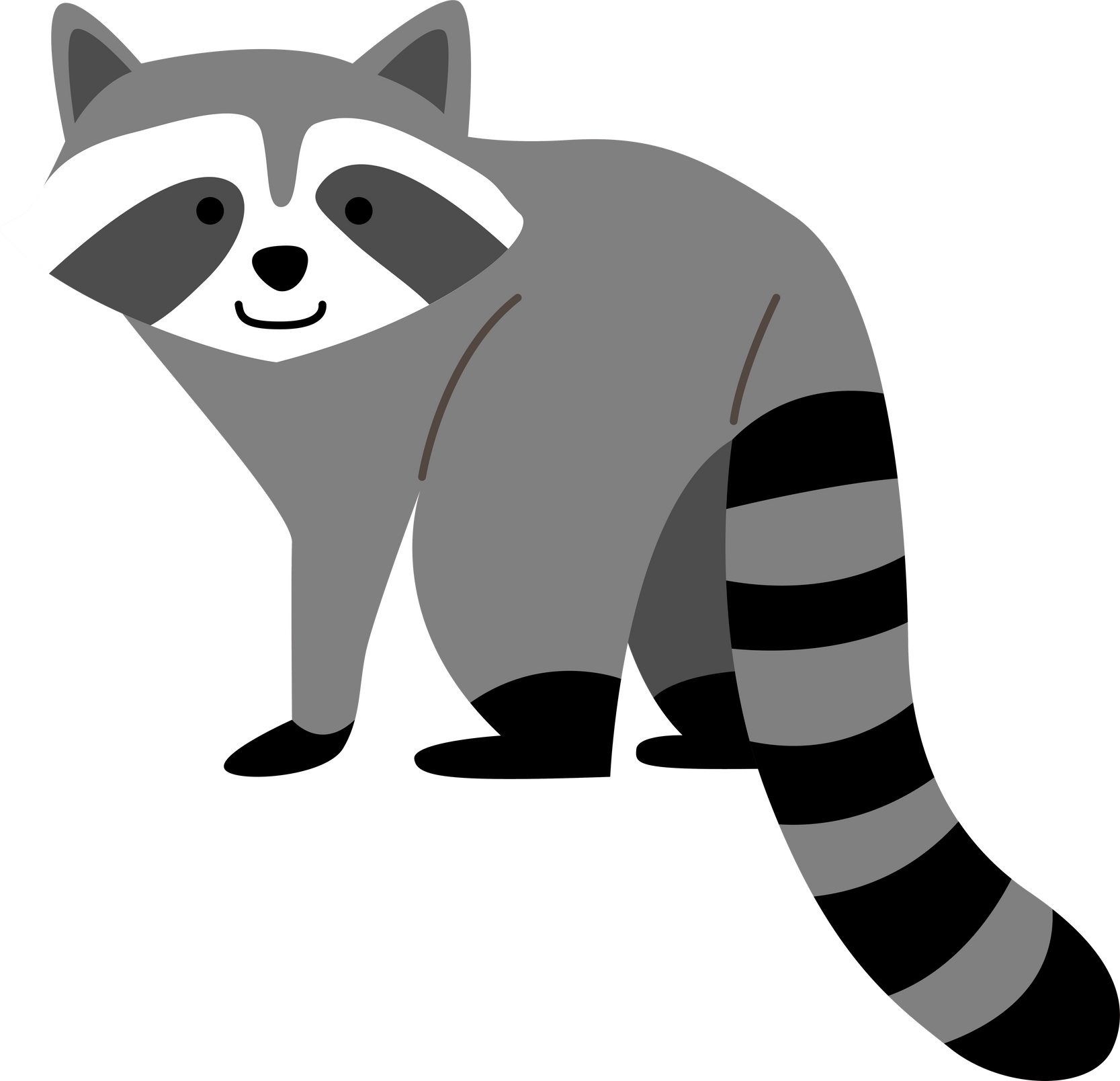 raccoon cartoon illustration